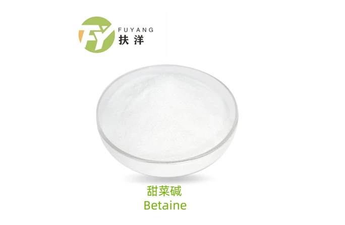 Amino Acids